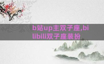 b站up主双子座,bilibili双子座装扮