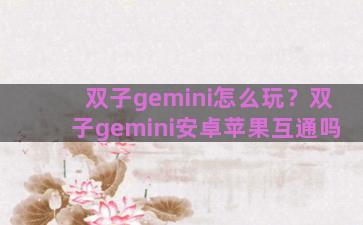 双子gemini怎么玩？双子gemini安卓苹果互通吗