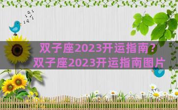 双子座2023开运指南？双子座2023开运指南图片