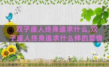 双子座人终身追求什么,双子座人终身追求什么样的爱情