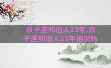 双子座和旧人23年,双子座和旧人23年相配吗