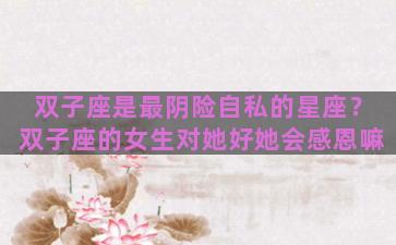 双子座是最阴险自私的星座？双子座的女生对她好她会感恩嘛