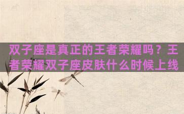 双子座是真正的王者荣耀吗？王者荣耀双子座皮肤什么时候上线