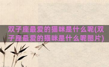 双子座最爱的猫咪是什么呢(双子座最爱的猫咪是什么呢图片)