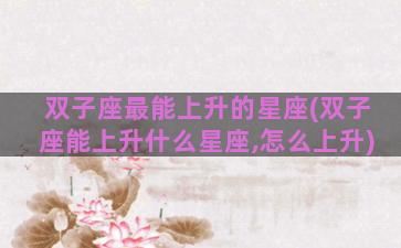 双子座最能上升的星座(双子座能上升什么星座,怎么上升)