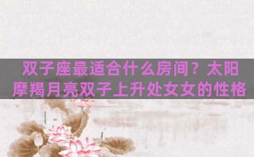 双子座最适合什么房间？太阳摩羯月亮双子上升处女女的性格