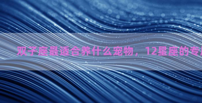 双子座最适合养什么宠物，12星座的专属宠物猫咪