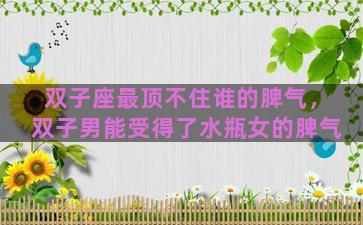 双子座最顶不住谁的脾气，双子男能受得了水瓶女的脾气