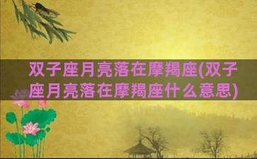 双子座月亮落在摩羯座(双子座月亮落在摩羯座什么意思)