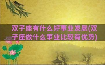 双子座有什么好事业发展(双子座做什么事业比较有优势)