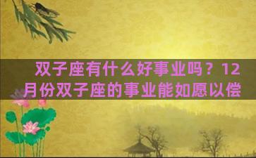 双子座有什么好事业吗？12月份双子座的事业能如愿以偿