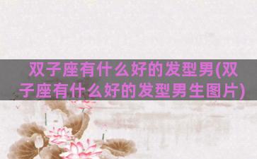 双子座有什么好的发型男(双子座有什么好的发型男生图片)