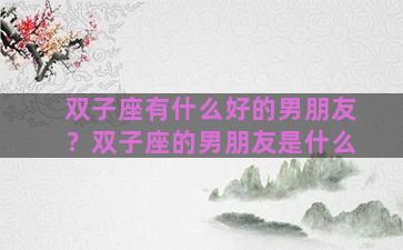 双子座有什么好的男朋友？双子座的男朋友是什么