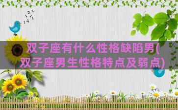 双子座有什么性格缺陷男(双子座男生性格特点及弱点)