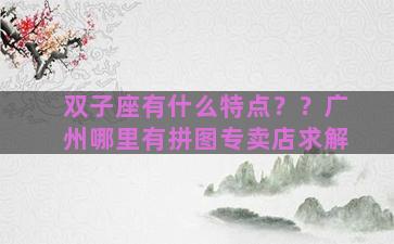 双子座有什么特点？？广州哪里有拼图专卖店求解