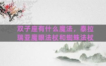 双子座有什么魔法，泰拉瑞亚魔眼法杖和蜘蛛法杖