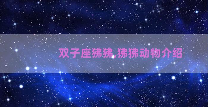 双子座狒狒,狒狒动物介绍