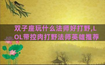 双子座玩什么法师好打野,LOL带控肉打野法师英雄推荐