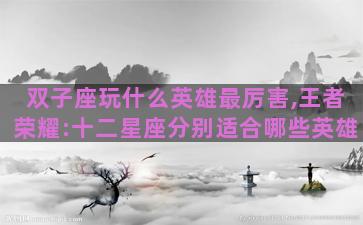 双子座玩什么英雄最厉害,王者荣耀:十二星座分别适合哪些英雄