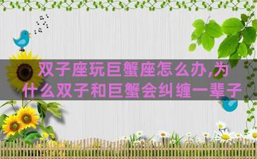 双子座玩巨蟹座怎么办,为什么双子和巨蟹会纠缠一辈子