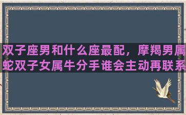 双子座男和什么座最配，摩羯男属蛇双子女属牛分手谁会主动再联系