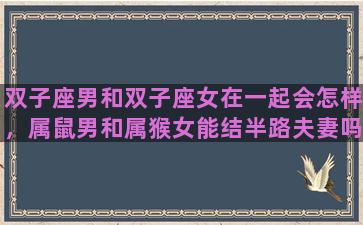 双子座男和双子座女在一起会怎样，属鼠男和属猴女能结半路夫妻吗