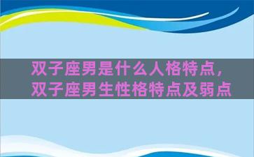 双子座男是什么人格特点，双子座男生性格特点及弱点