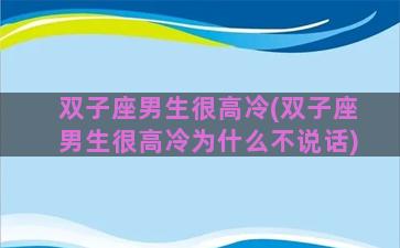 双子座男生很高冷(双子座男生很高冷为什么不说话)