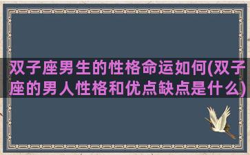 双子座男生的性格命运如何(双子座的男人性格和优点缺点是什么)