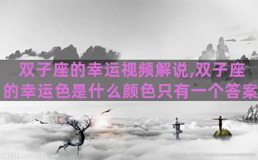 双子座的幸运视频解说,双子座的幸运色是什么颜色只有一个答案