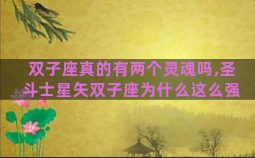 双子座真的有两个灵魂吗,圣斗士星矢双子座为什么这么强