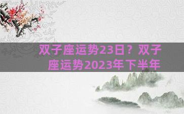 双子座运势23日？双子座运势2023年下半年