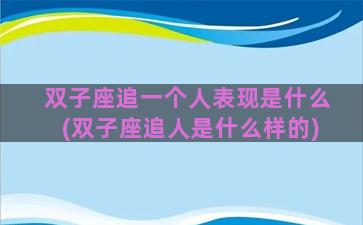 双子座追一个人表现是什么(双子座追人是什么样的)