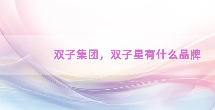 双子集团，双子星有什么品牌