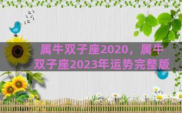 属牛双子座2020，属牛双子座2023年运势完整版