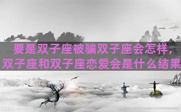 要是双子座被骗双子座会怎样,双子座和双子座恋爱会是什么结果
