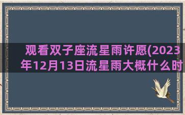 观看双子座流星雨许愿(2023年12月13日流星雨大概什么时候)